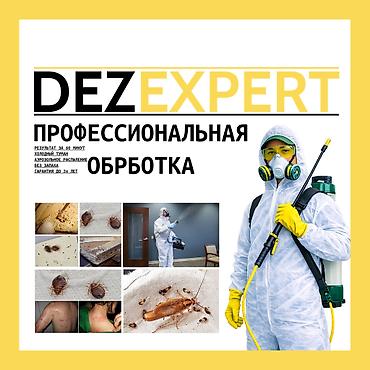 Клининговые услуги: Дезинфекция, дезинсекция, | Тараканы, | Кафе, магазины, Офисы, Подвал, погреб — 1
