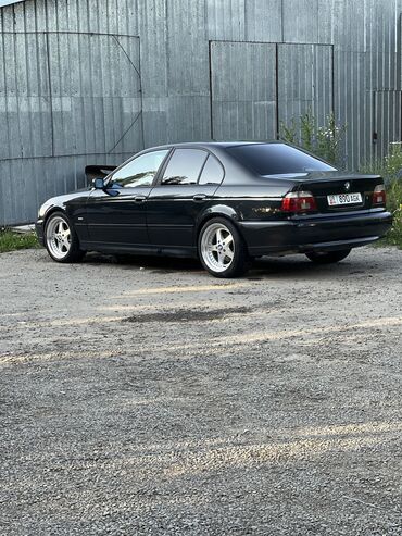 дополнительное освещение на авто: BMW 5 series: 2002 г., 2.5 л, Механика, Бензин, Седан