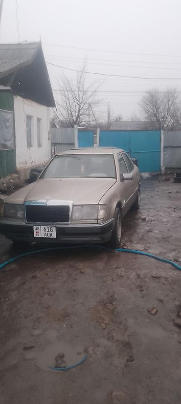 Mercedes-Benz: Mercedes-Benz W124: 1992 г., 2.9 л, Автомат, Дизель, Седан — 1