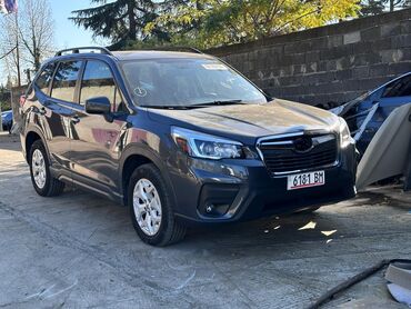 Subaru: Subaru Forester: 2019 г., 2.5 л, Вариатор, Бензин, Кроссовер