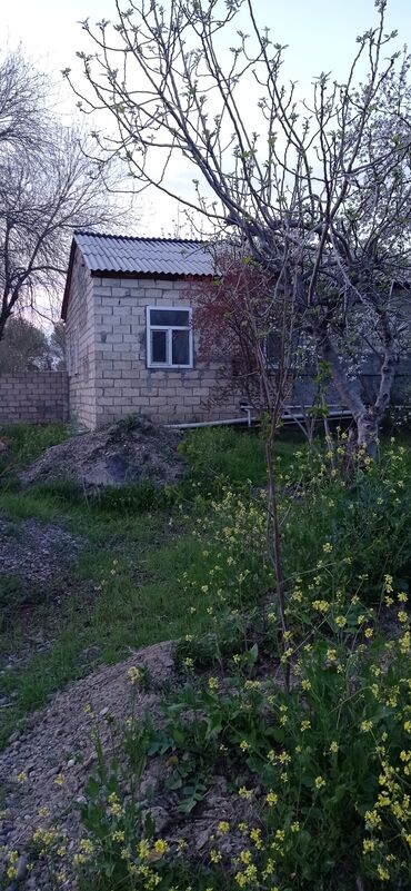 Torpaq sahələrinin satışı: 9 sot, Tikinti, Mülkiyyətçi, Kupça (Çıxarış) — 25