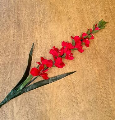 продаю цветок: Цветок - муляж (гладиолус), высота 112 см, красный в натуральную