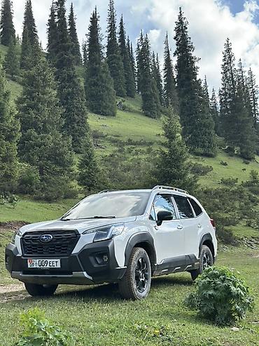 shevrole cruze: Subaru Forester: 2023 г., 2.5 л, Вариатор, Бензин, Кроссовер — 1