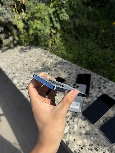 Apple iPhone: IPhone 13 Pro, цвет Sierra Blue - Память: 256 ГБ (указано на стикере) — 5