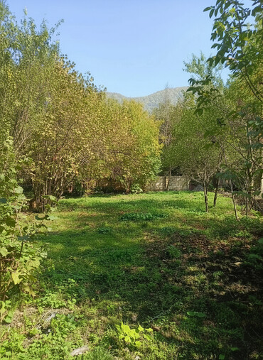 Torpaq sahələrinin satışı: 10 sot, Tikinti, Barter mümkündür, Kupça (Çıxarış) -da lalafo.az — 2 Torpaq sahələrinin satışı: 10 sot, Tikinti, Barter mümkündür, Kupça (Çıxarış) — 2