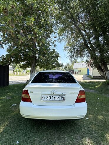 runx alex: Toyota Corolla: 2002 г., 1.5 л, Автомат, Газ, Седан