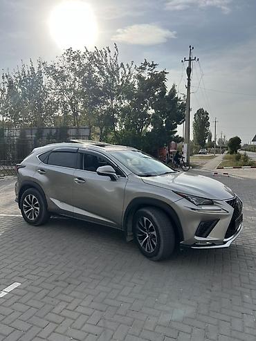 Lexus: Lexus NX: 2018 г., 2 л, Автомат, Бензин, Кроссовер — 11