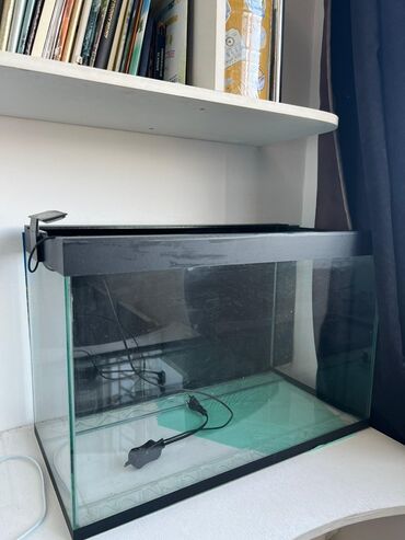 рыба на подушке в духовке: Срочно продаю аквариум с фильтром и обогревателем воды Размер: 72 л