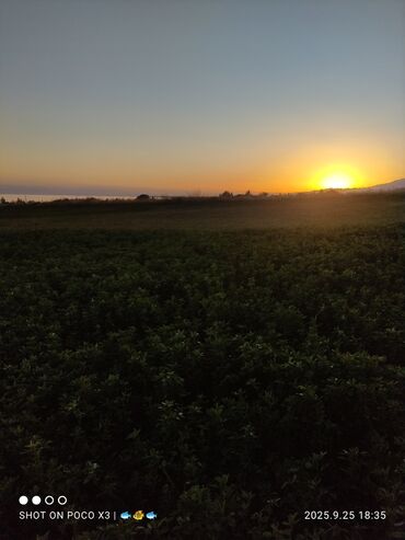 Продажа домов: Дом, 80 м², 8 комнат, Собственник, Старый ремонт at lalafo.kg — 12 Продажа домов: Дом, 80 м², 8 комнат, Собственник, Старый ремонт — 12