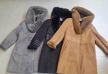 Montoni po povoljnim cenama 8000 din. Za velicinu 8 bolju pitati