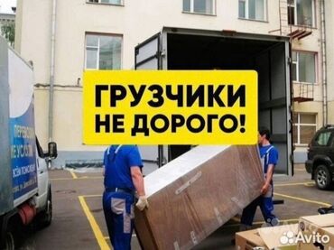 офисы аренда: Жүк ташуучу. 6 жылдан ашык тажрыйба