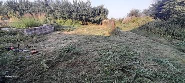hovsanda torpaq satilir 2025: 6 sot, Tikinti, Mülkiyyətçi, Kupça (Çıxarış) — 5