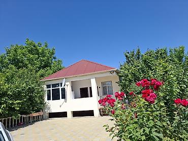Bağ evlərinin kirayəsi: Bağ evi – yaşıllıq içində rahat məkan - Geniş, meyvə ağacları ilə — 8