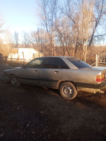 Audi: Audi 100: 1990 г., Механика, Седан — 10