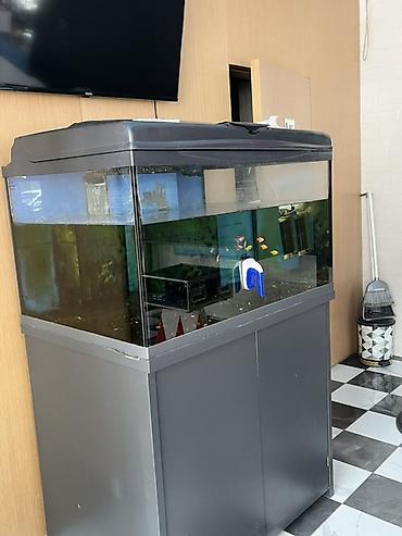Akvarium-şkaf, Balıqlarla birlikdə, 500 l, Ünvandan götürmə