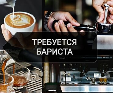 репетитор аламедин 1: Талап кылынат Бариста, Төлөм Күнүмдүк, 3-5 жылдык тажрыйба
