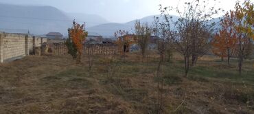 Torpaq sahələrinin satışı: 10 sot, Tikinti, Mülkiyyətçi, Kupça (Çıxarış) — 7