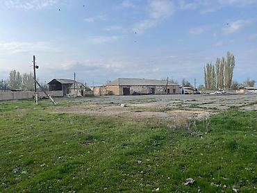 Продажа участков: 81 соток, Для бизнеса, Красная книга — 18