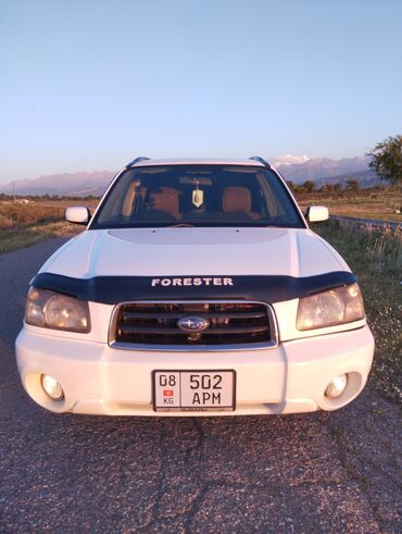 газ53 машина: Subaru Forester: 2004 г., 2 л, Автомат, Бензин, Универсал