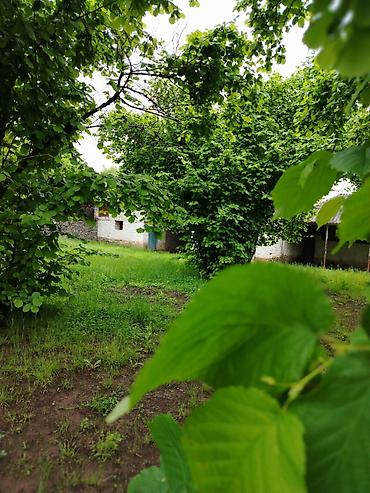 bag evi isi: Tikinti — 8