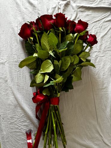 Розы: Продаю свежие букеты дешево! Красные 23шт 3000 сом Розовые 21шт 2700