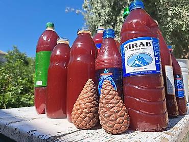 səkər copu gence: Keçibuynuzu və Şam qozası bitkisindən hazırlanmış doşab satılır — 4
