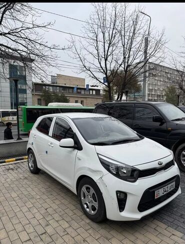 цены в автошколах: Ижарага берем Kia Morning такси үчүн, Узак мөөнөткө, | Күрөө, Айдоочулук күбөлүгүк, Ходовканы оңдоо ижарачыдан