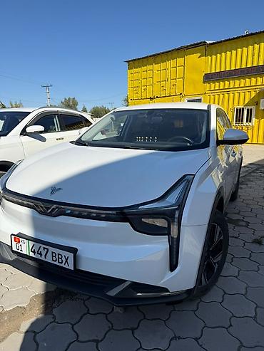 BYD: BYD : 2023 г., Электромобиль, Кроссовер — 1