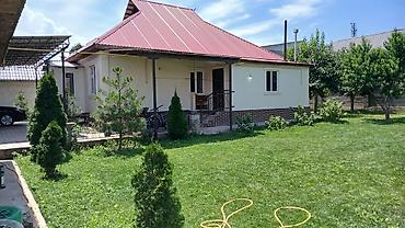 Продажа дачи: Просторный ухоженный двор с домом и отдельными постройками - Большой — 11