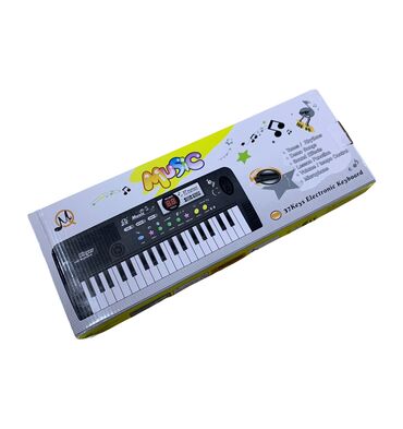 музыкальная игрушка: Пианино с микрофоном [ акция 50% ] - низкие цены в городе! Возраст