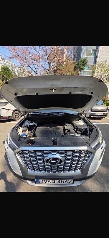 авто фышка: Hyundai Palisade: 2021 г., 2.2 л, Автомат, Дизель, Кроссовер — 9