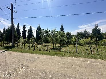 salyanda ev alqi satqisi: Satışa təqdim olunur: həyət evi və torpaq sahəsi - Tip: fərdi 2 — 2