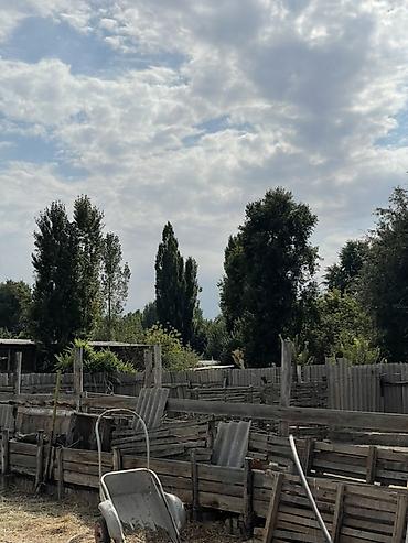 село мыкан: 🏡 Продаётся дом в с. Новониколаевка 📍 Жайылский район, с — 5