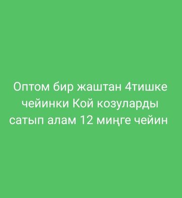 ат такалайбыз: Покупаем оптом Кой козу возрасте от одного года до четырех зубов по