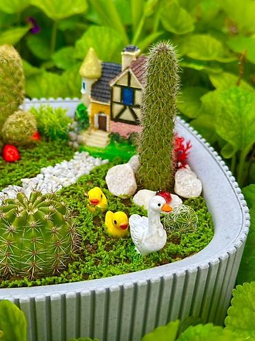 en gozel dibcek gulleri: Mini bağ kompozisiyası – sukulent/kaktus terrariumu - Üçbucağa yaxın — 5