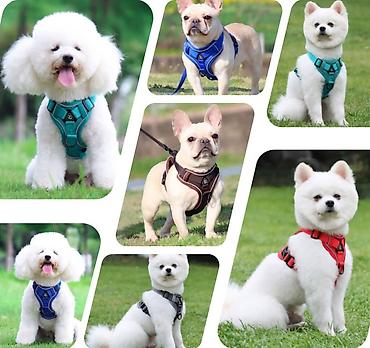 Зоотовары: Продаю приспособление для выращивания травы для животных и людей(в — 18