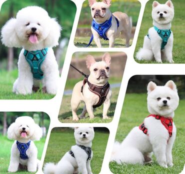 Зоотовары: Продаю приспособление для выращивания травы для животных и людей(в — 17