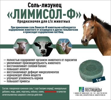 цинк для мужчин: Соль лизунец высшего сорта для животных Состав: натрий хлорид, медь at lalafo.kg цинк для мужчин: Соль лизунец высшего сорта для животных Состав: натрий хлорид, медь