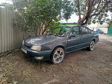 95: Toyota Camry: 1995 г., 2 л, Автомат, Бензин, Седан — 1