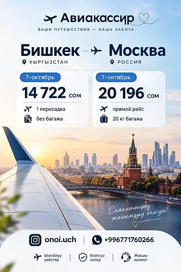 Языковые курсы: Курсы итальянского языка — 1