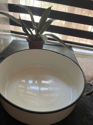 metbex tavanlari: Qazan, rəng - Ağ, 5 l, Rusiya