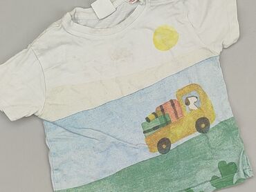 kurtka przejściowa chłopięca: T-shirt, Zara, 9-12 months, condition - Fair