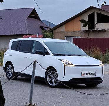 обогриватель для авто: BYD E5: 2023 г., Электромобиль, Минивэн — 1