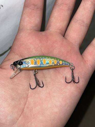 Рыболовная оснастка: Воблер TSURINOYA Light Game X Micro, тип Intruder – — 5