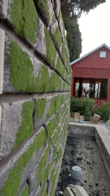 Bənnalar: 🧱 Kabançik və dekorativ daşların təşkili və vurulması. Paylaşılan — 20