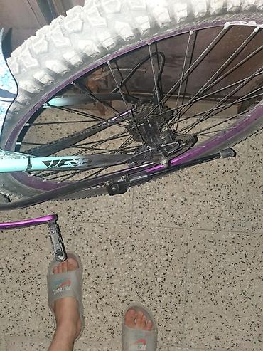 29 velo: Velosiped 310a alınıb çatdırılma ilə birliktə üsdünə 50 manatdan çox — 4