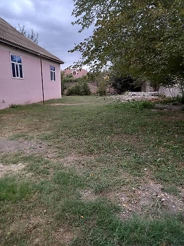 1 комната квартира снять: 4 комнаты, 90 м², Без ремонта — 2