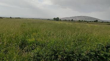 село арчалы: 300 соток, Для сельского хозяйства — 10