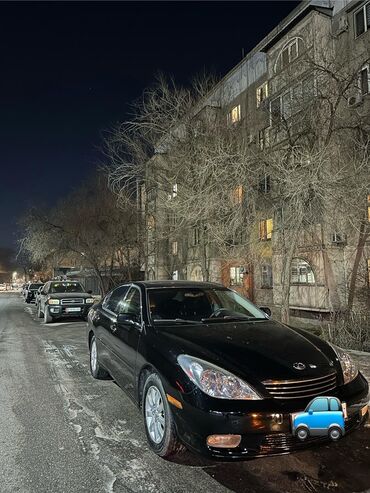 Lexus: Lexus ES: 2002 г., 3 л, Автомат, Бензин