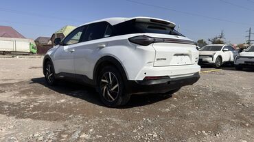 Weltmeister: Weltmeister 2022 г., Передний, В наличии — 9